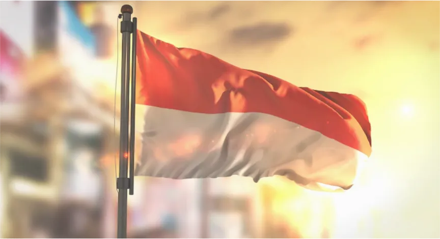 fungsi pajak untuk pembangunan negara